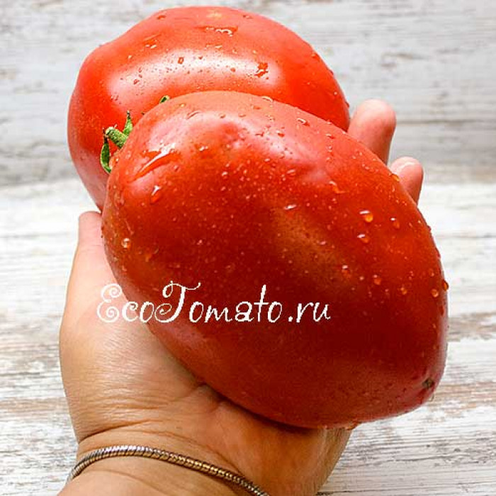 Podsinskaya Liana